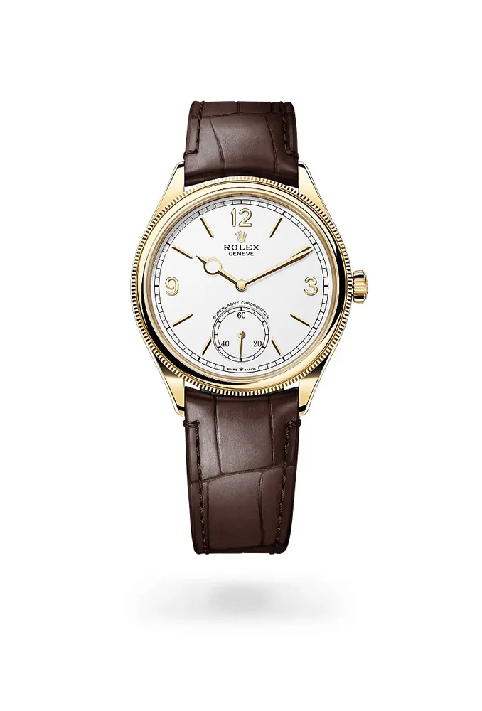 Rolex 17305531