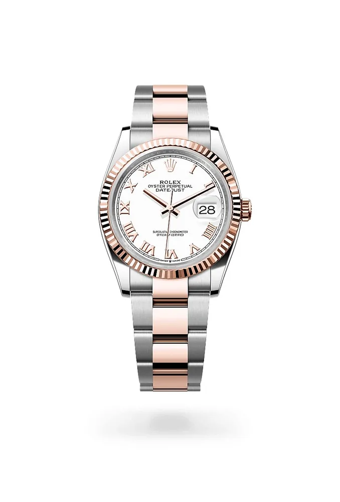 Rolex 17303725