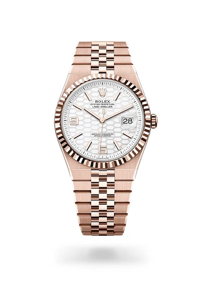 Rolex 17305806