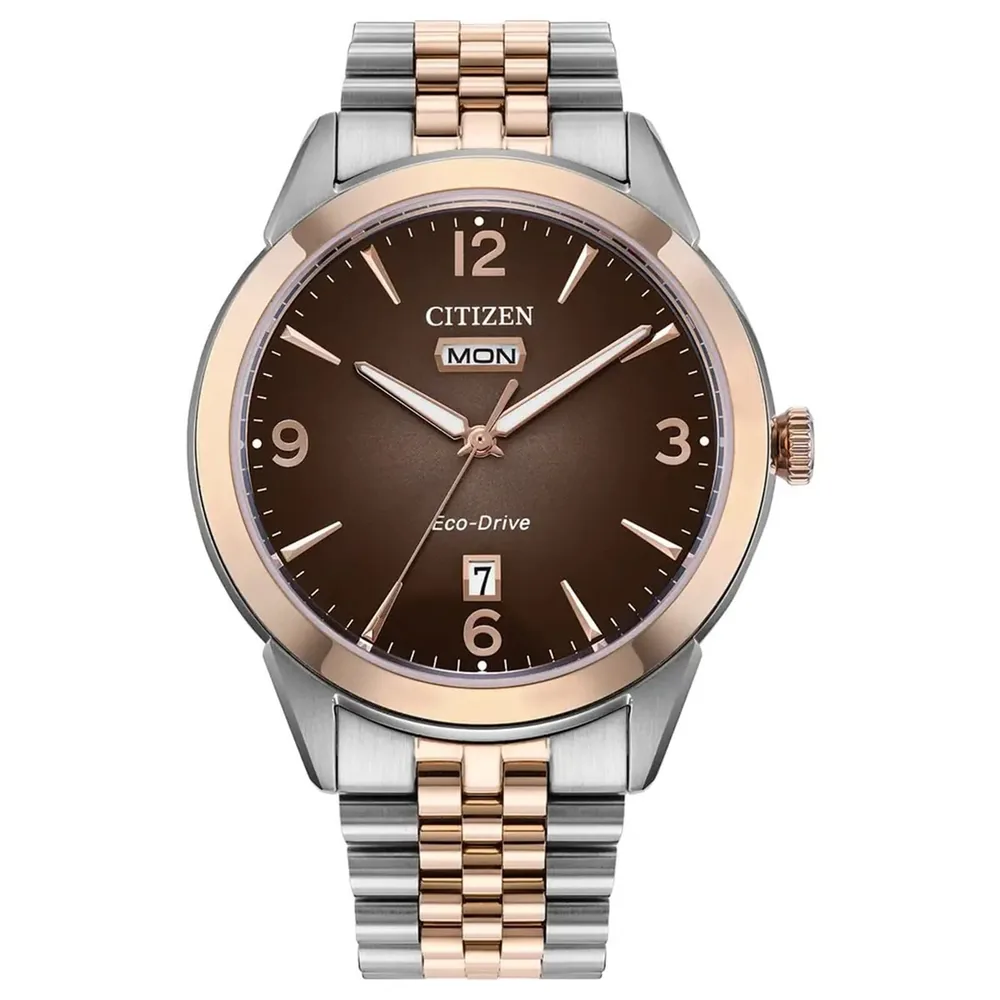 Citizen 17691418
