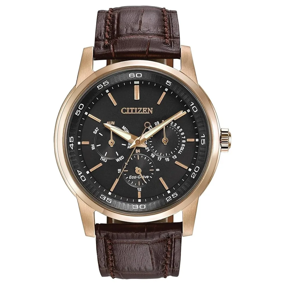 Citizen 17691394