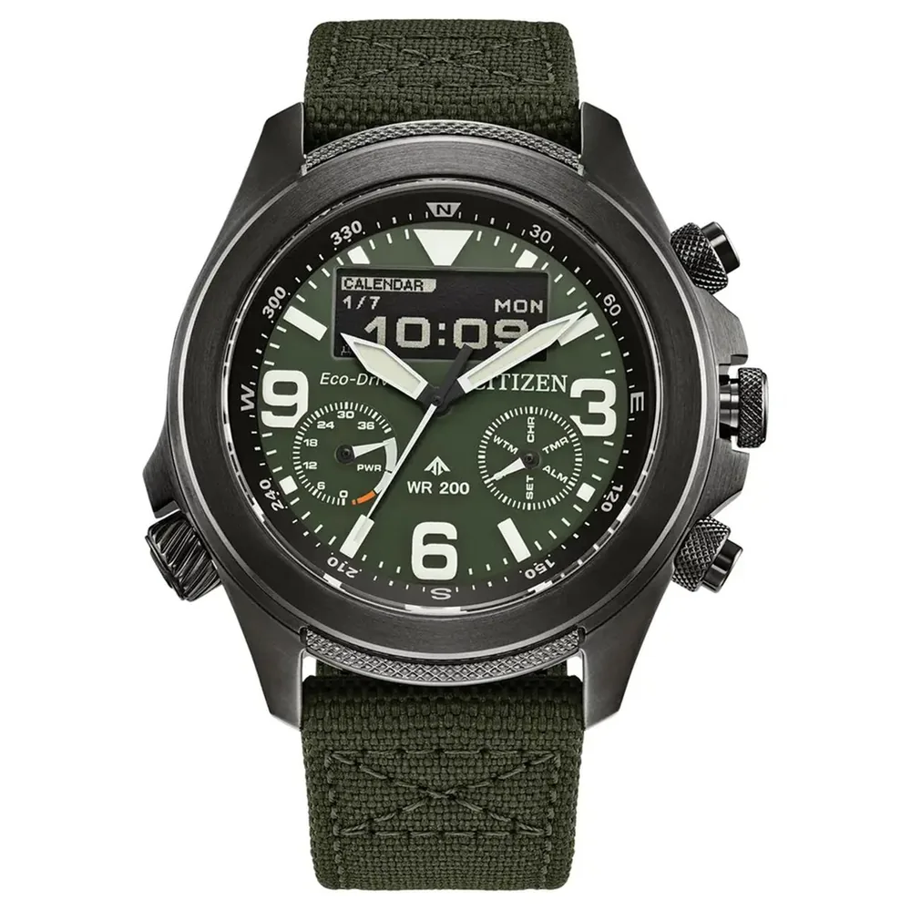 Citizen 17691415