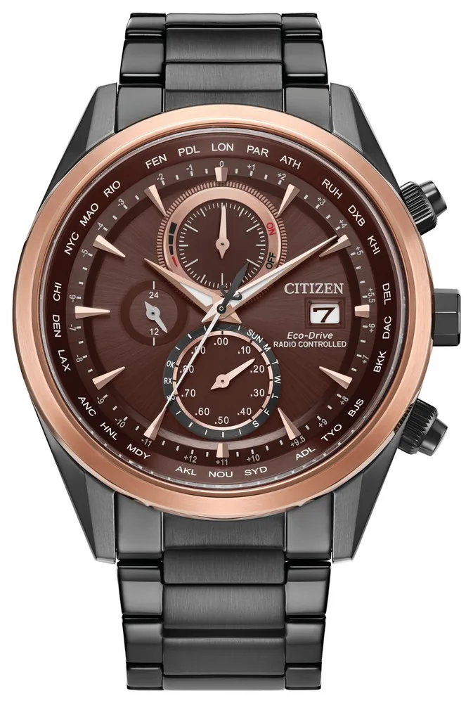 Citizen 17691419