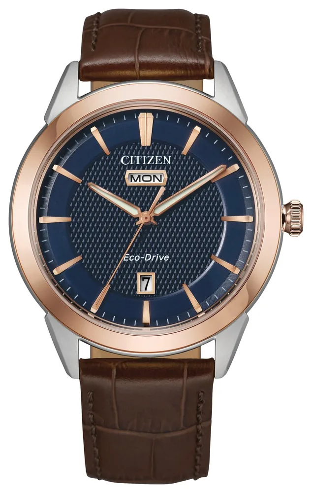 Citizen 17691413