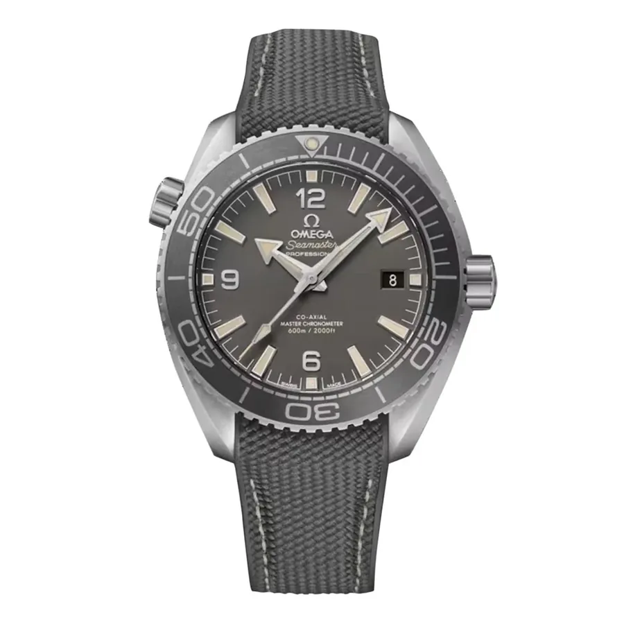 Omega Seamaster Planet Ocean 600M 17332248