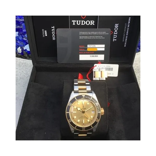 Tudor Black Bay S&G 79733N-0004