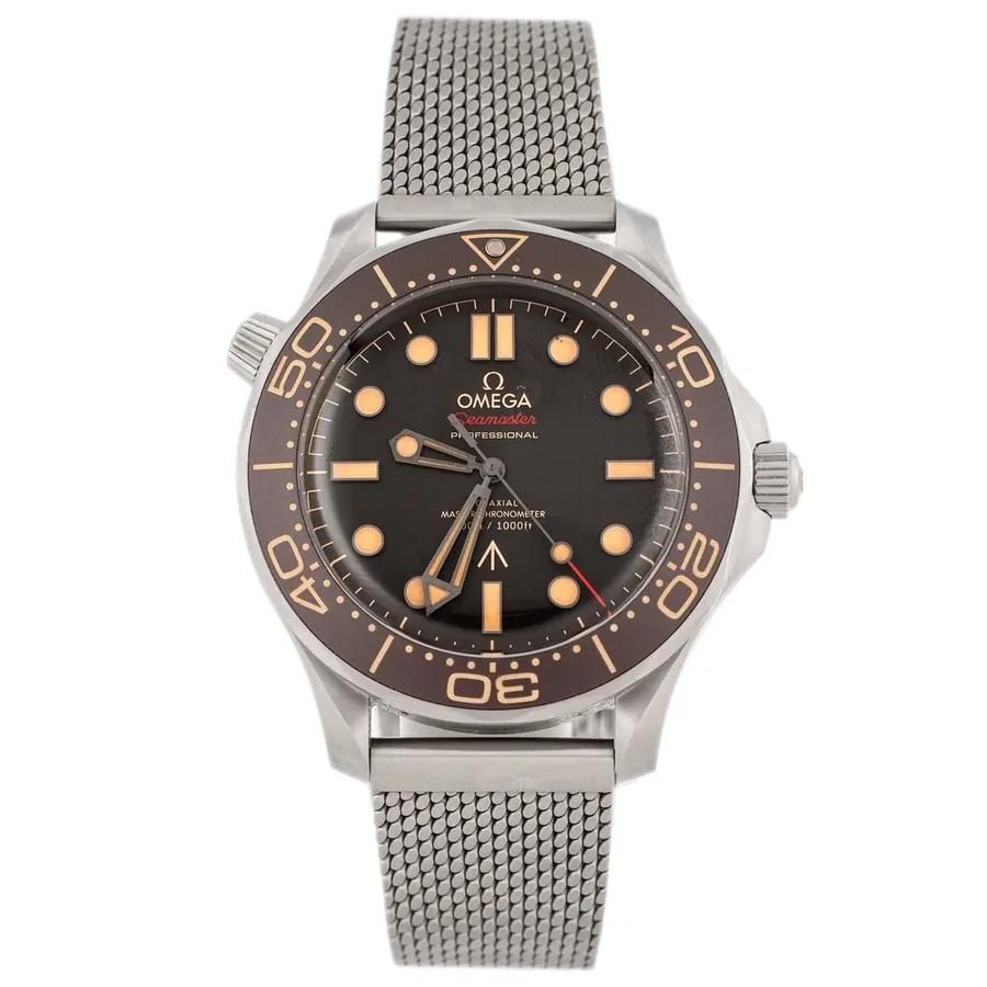 Omega Seamaster Diver 300M James 700-06484