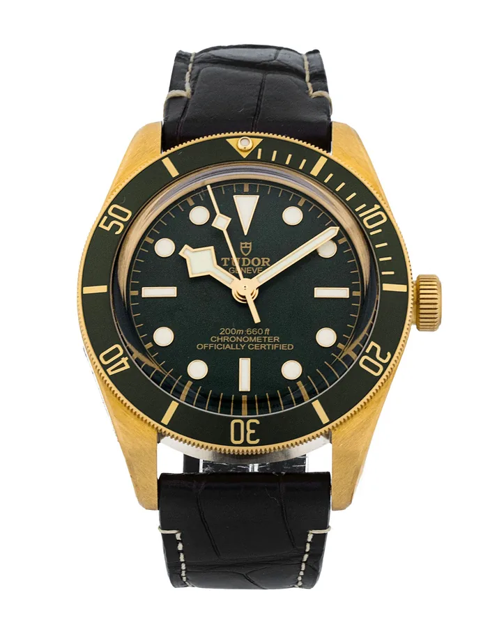 Tudor Black Bay 426317