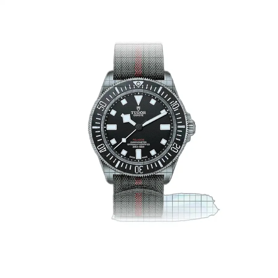 Tudor Pelagos M25717N-0001