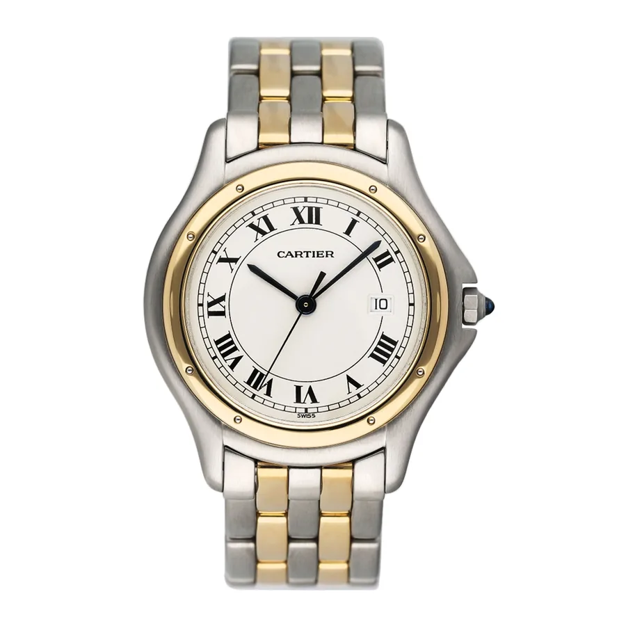 Cartier Cougar W35006B6 395002
