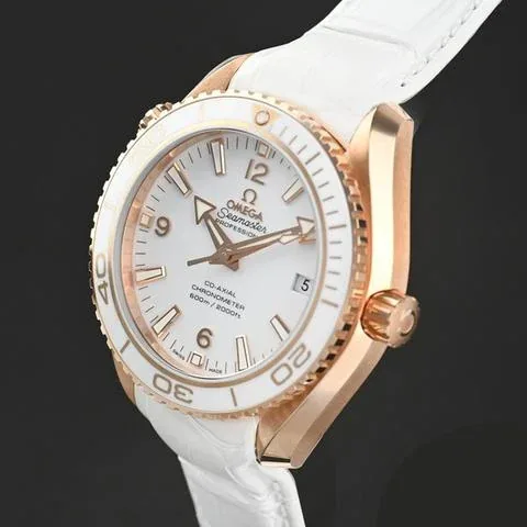 Omega Seamaster Planet Ocean 232.63.42.21.04.001