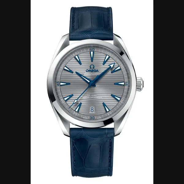 Omega Seamaster Aqua Terra 220.13.41.21.06.001