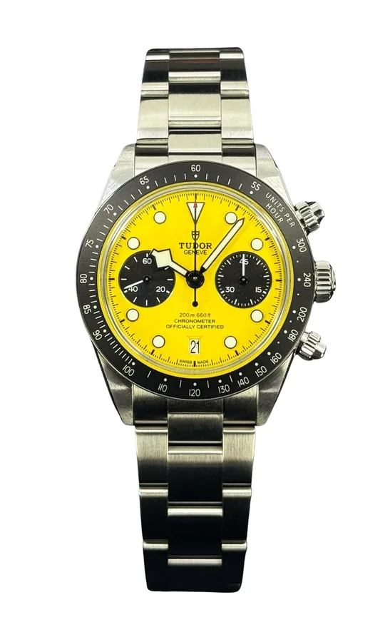 Tudor Black Bay 431031