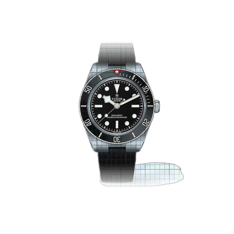 Tudor Black Bay 7939A1A0NU-0003
