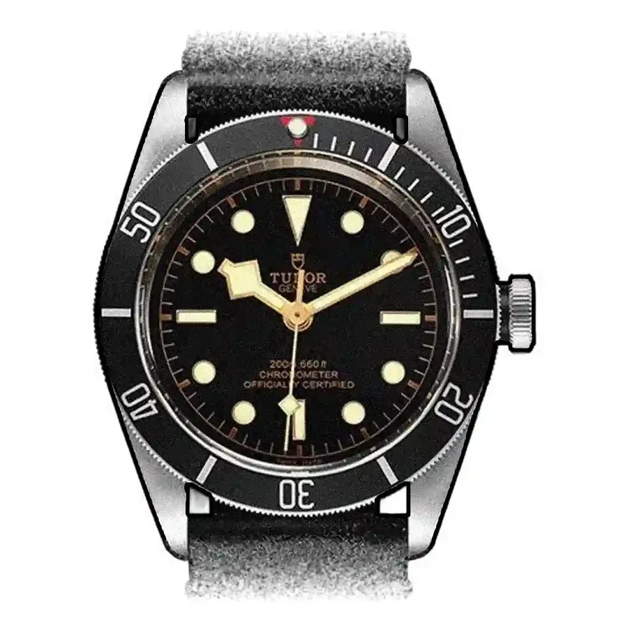 Tudor Black Bay 79230N-0008