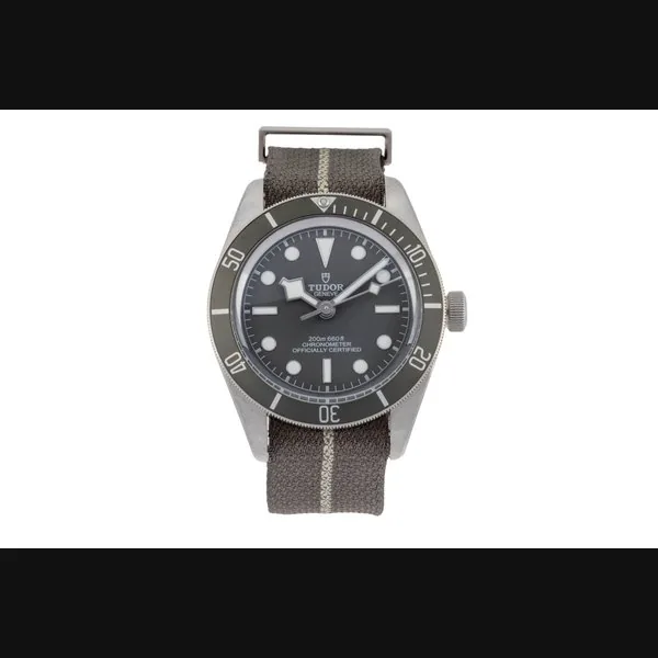 Tudor Black Bay 79010S