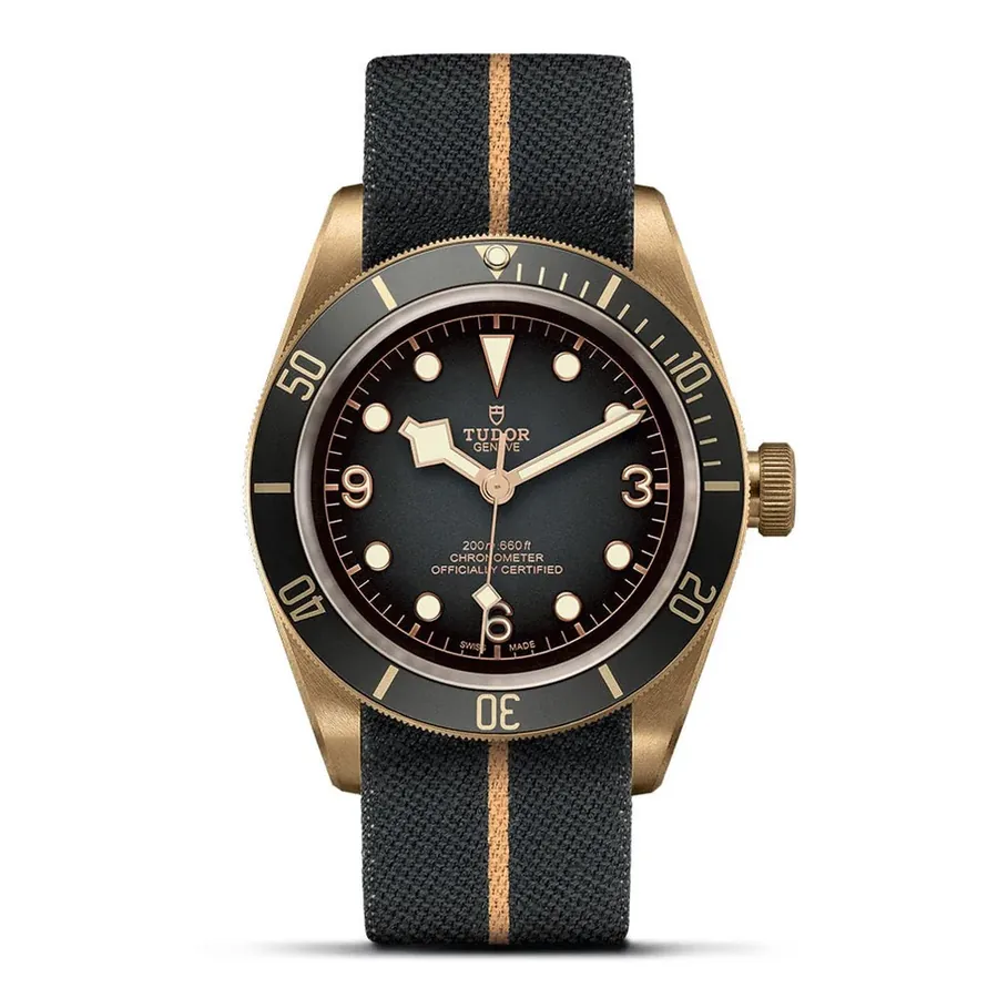 Tudor Black Bay C0902605