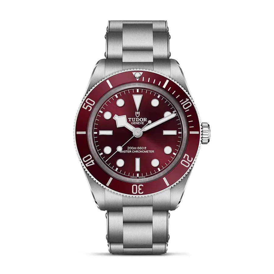 Tudor Black Bay C0930254