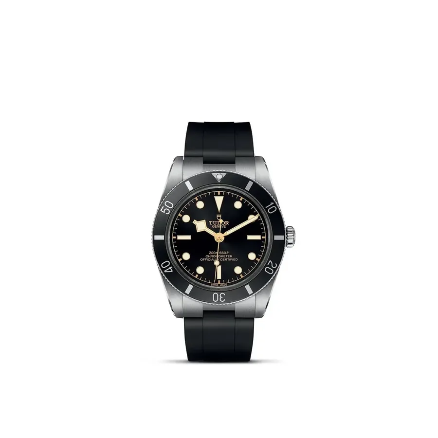 Tudor Black Bay M79000N-0002