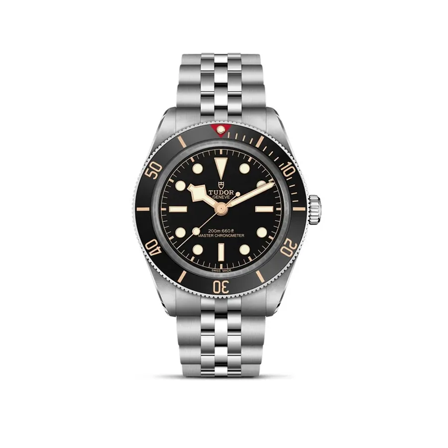 Tudor Black Bay 45-019225