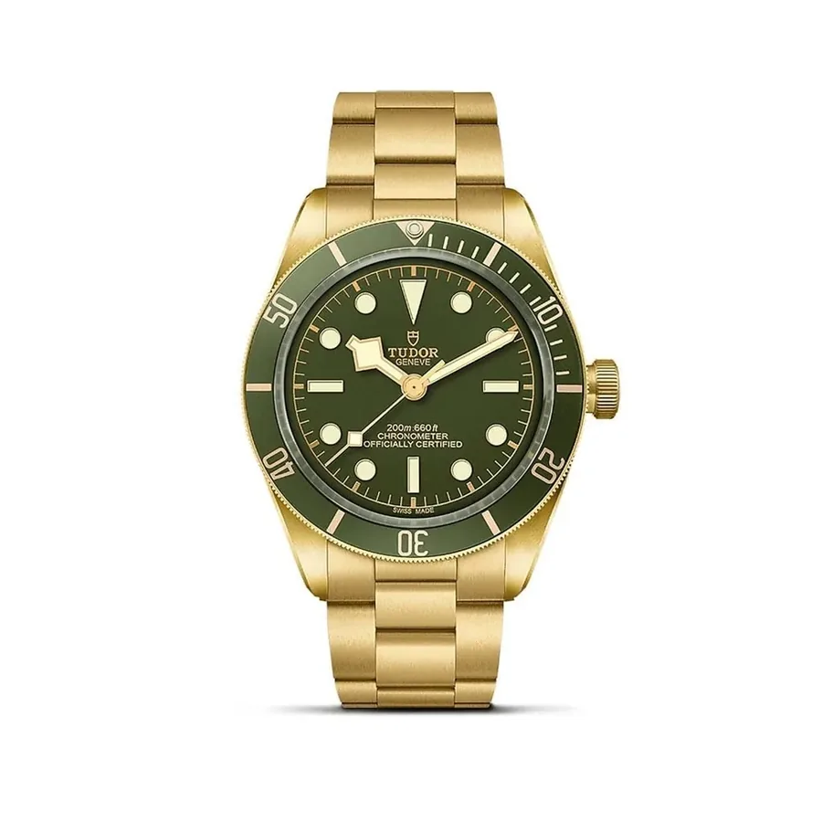Tudor Black Bay 45-015313
