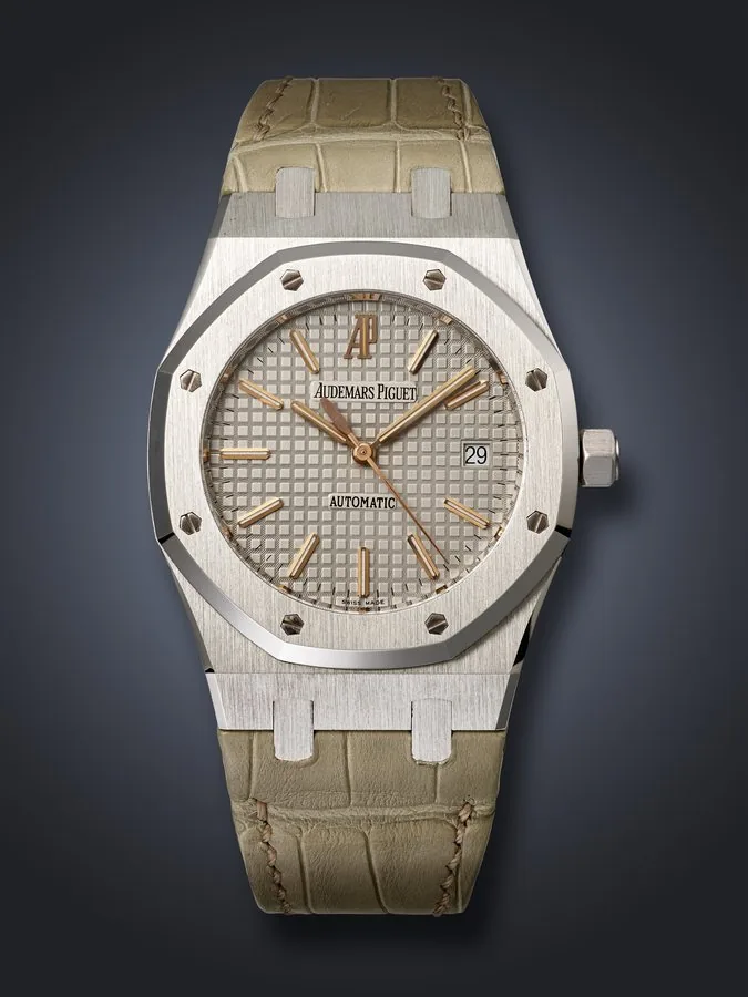Audemars Piguet Unclassified 15310PT