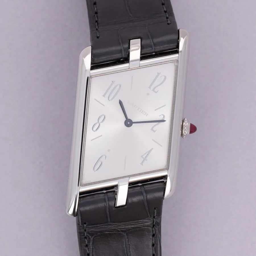 Cartier Unclassified WGTA0042 / 4286