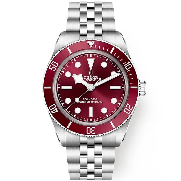 Tudor Black Bay M7939A1A0RU-0001