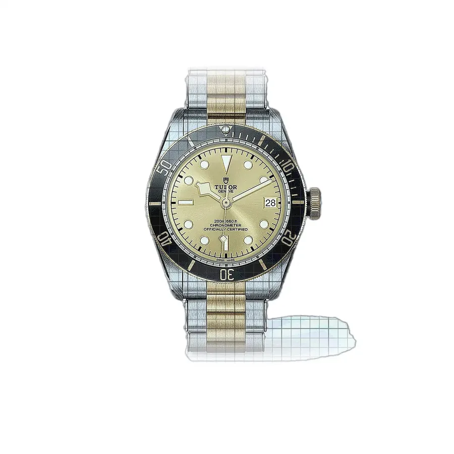Tudor Black Bay S&G M79733N-0004