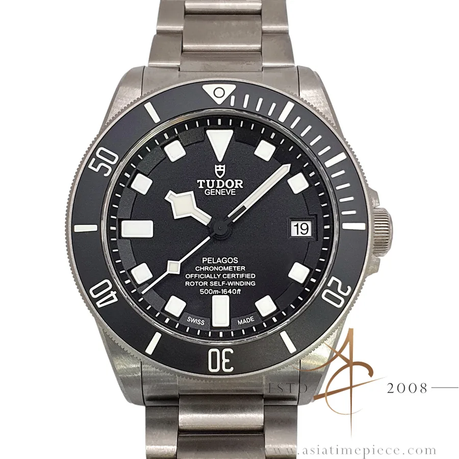 Tudor Pelagos 25600TN