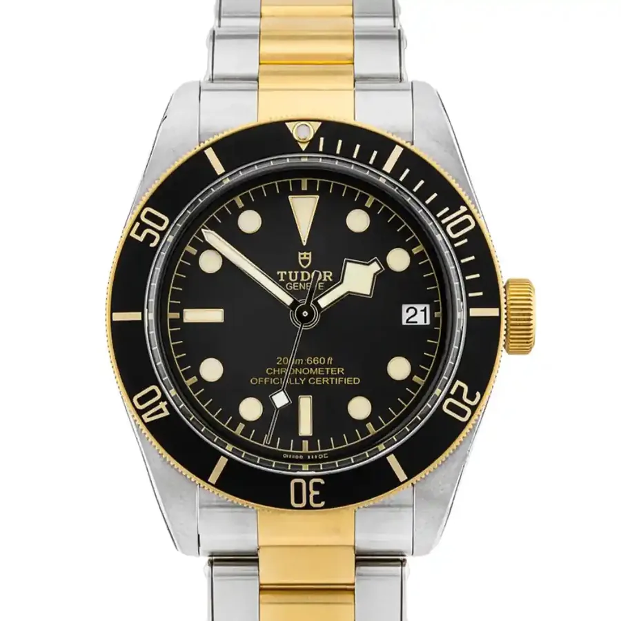 Tudor Black Bay S&G 79733N-0008