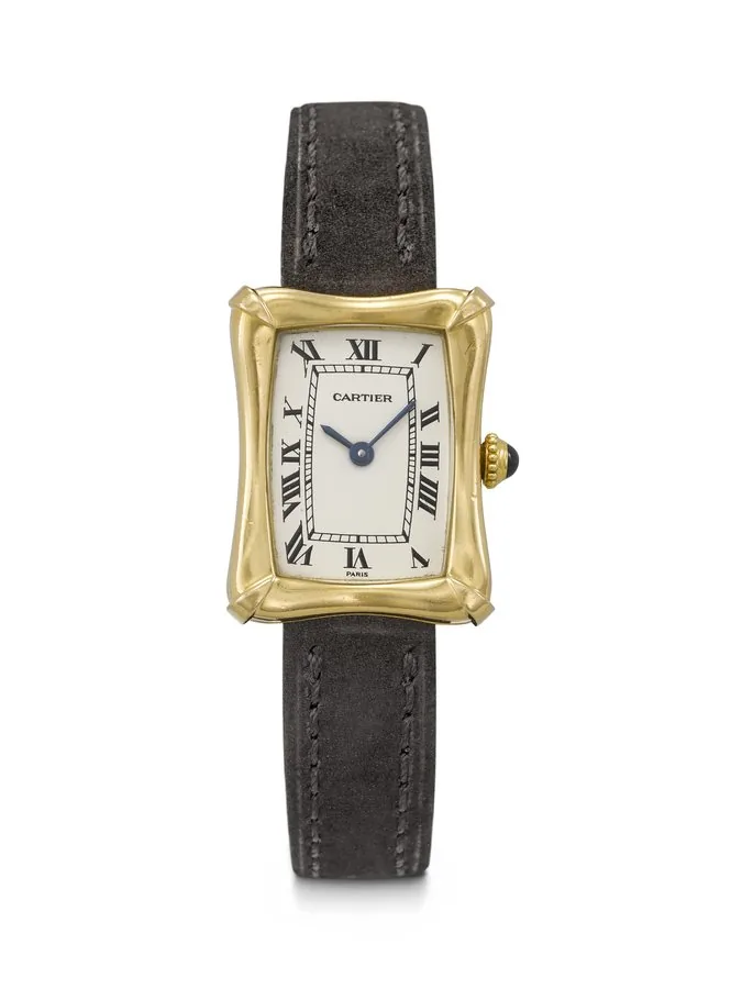 Cartier Unclassified 78110