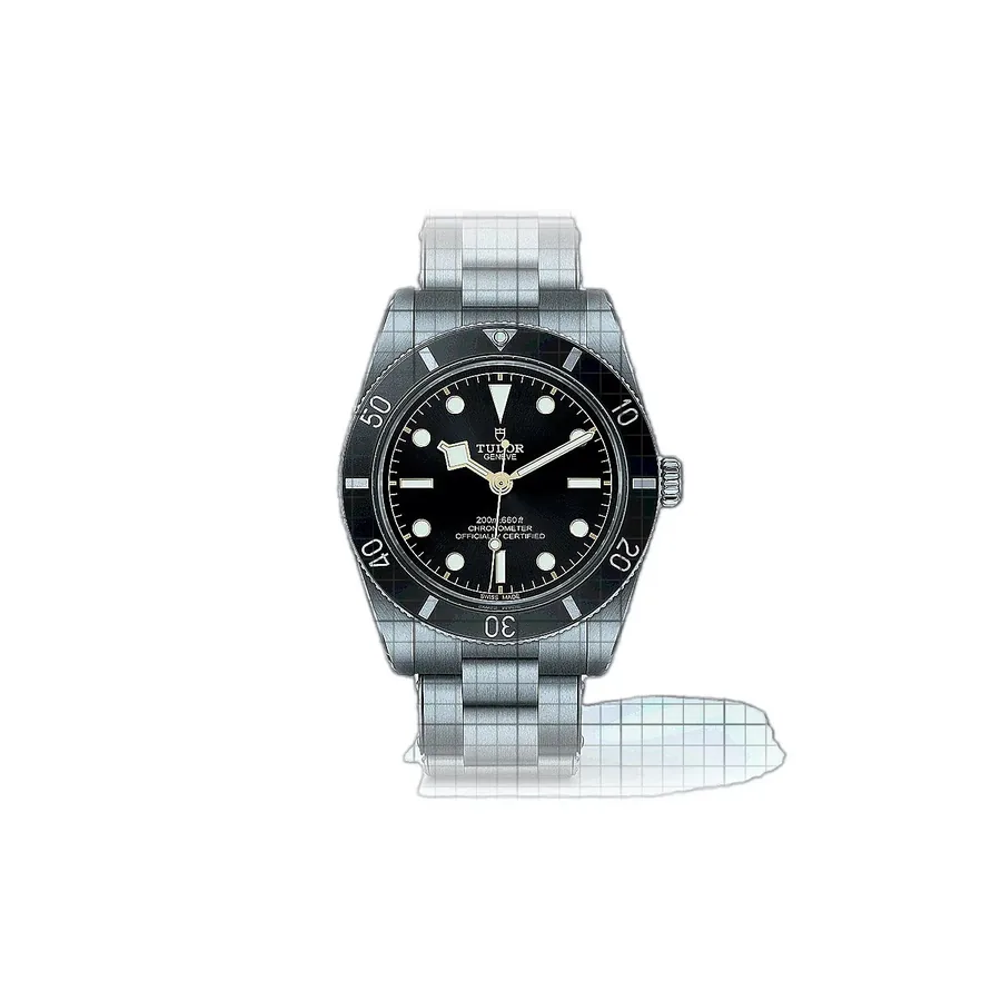 Tudor Black Bay M79000N-0001