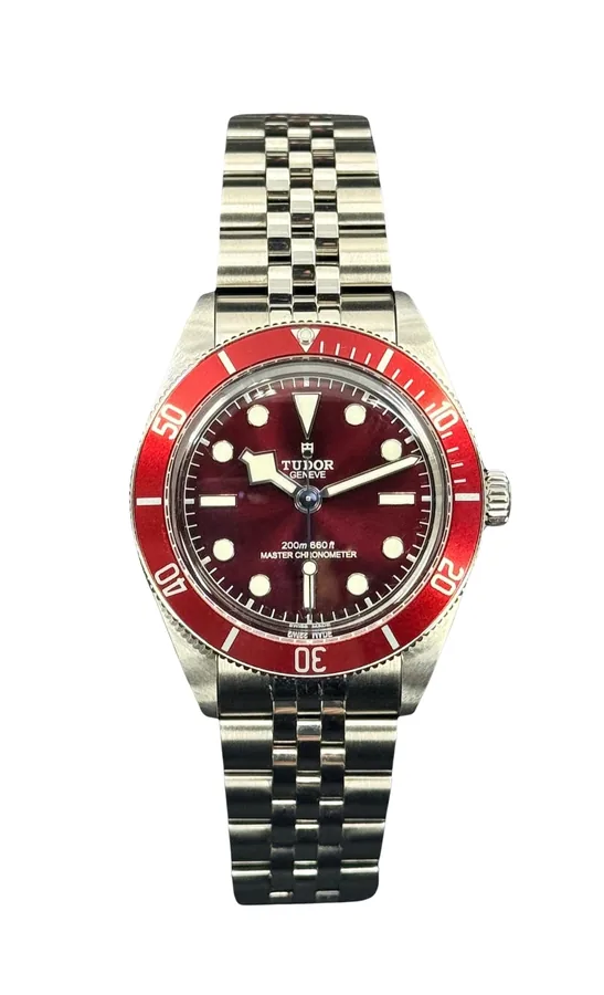Tudor Black Bay 432243