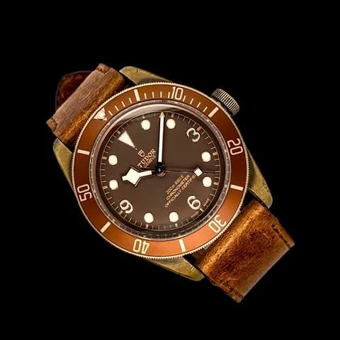 Tudor Black Bay 79250BM-0003