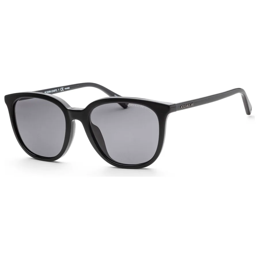 Coach Men's Sunglasses HC8338U-500281
