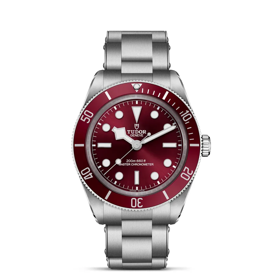Tudor Black Bay 743072