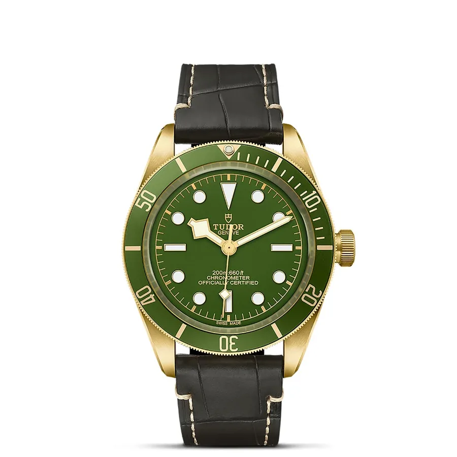 Tudor Black Bay 52-14-190