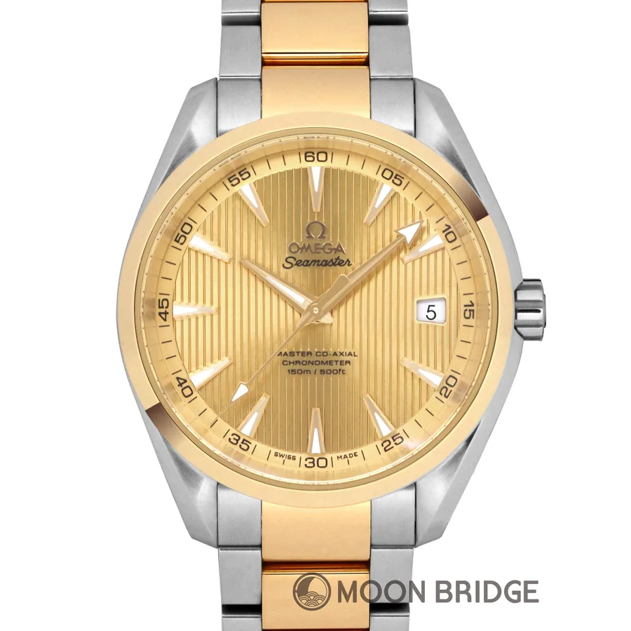 Omega Seamaster Aqua Terra 231.20.42.21.08.001