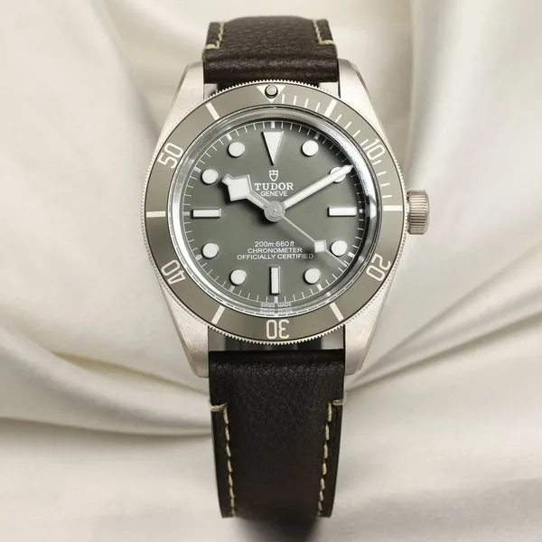 Tudor Black Bay 58 79010SG