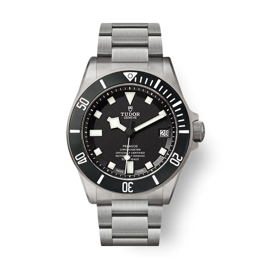 Tudor PelagosIn house movement box & papers 25600TN-0001