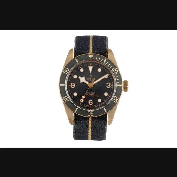 Tudor Black Bay 79250BA-0002