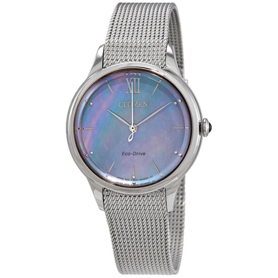 Citizen Unclassified EM0810-84N
