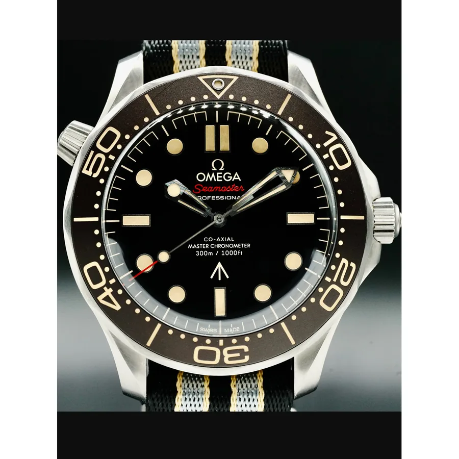 Omega Seamaster Diver 300 007 Edition 210000036195