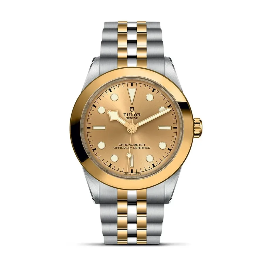 Tudor Black Bay C0921410