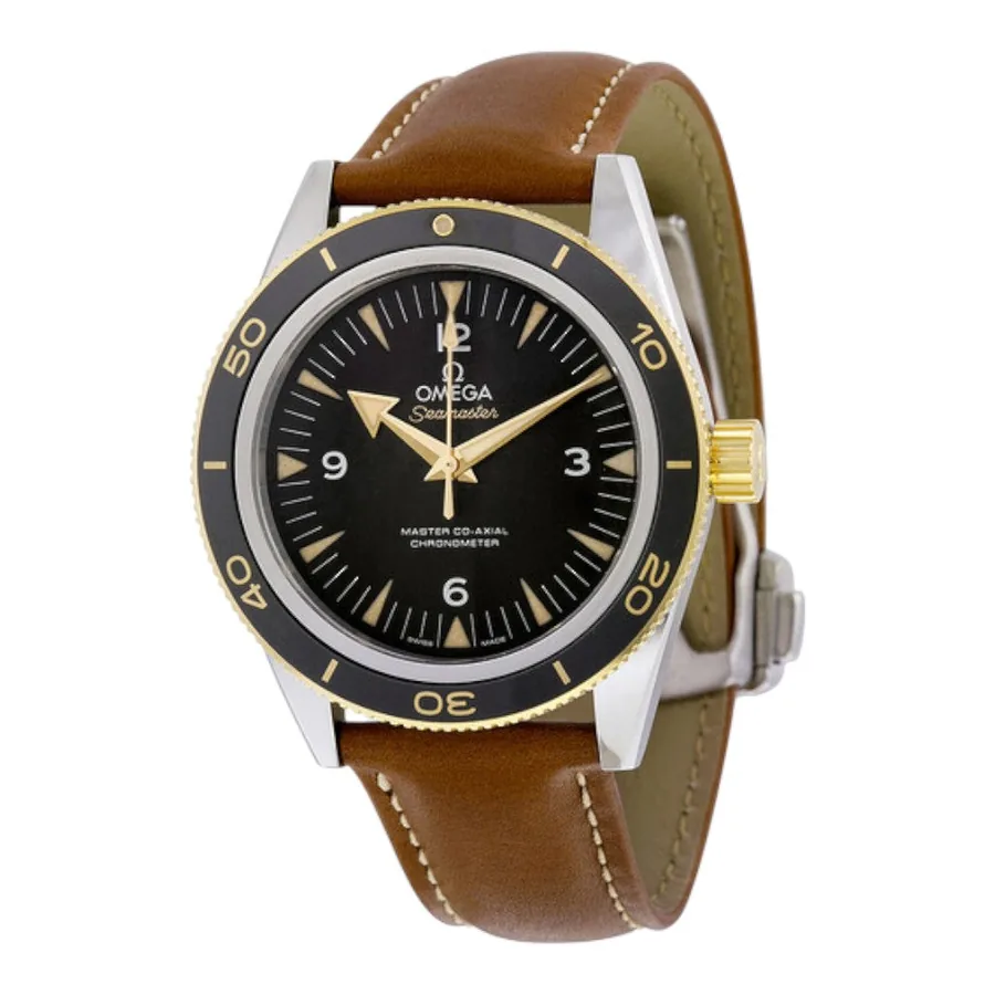 Omega Seamaster 300 233.22.41.21.01.001