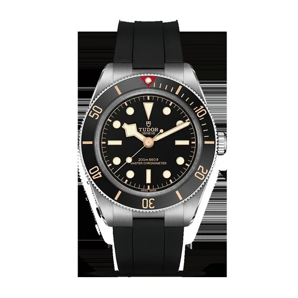 Tudor Black Bay C0937325
