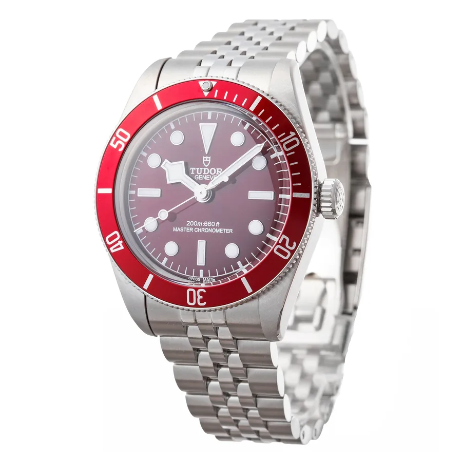 Tudor Black Bay 7939A1AORU