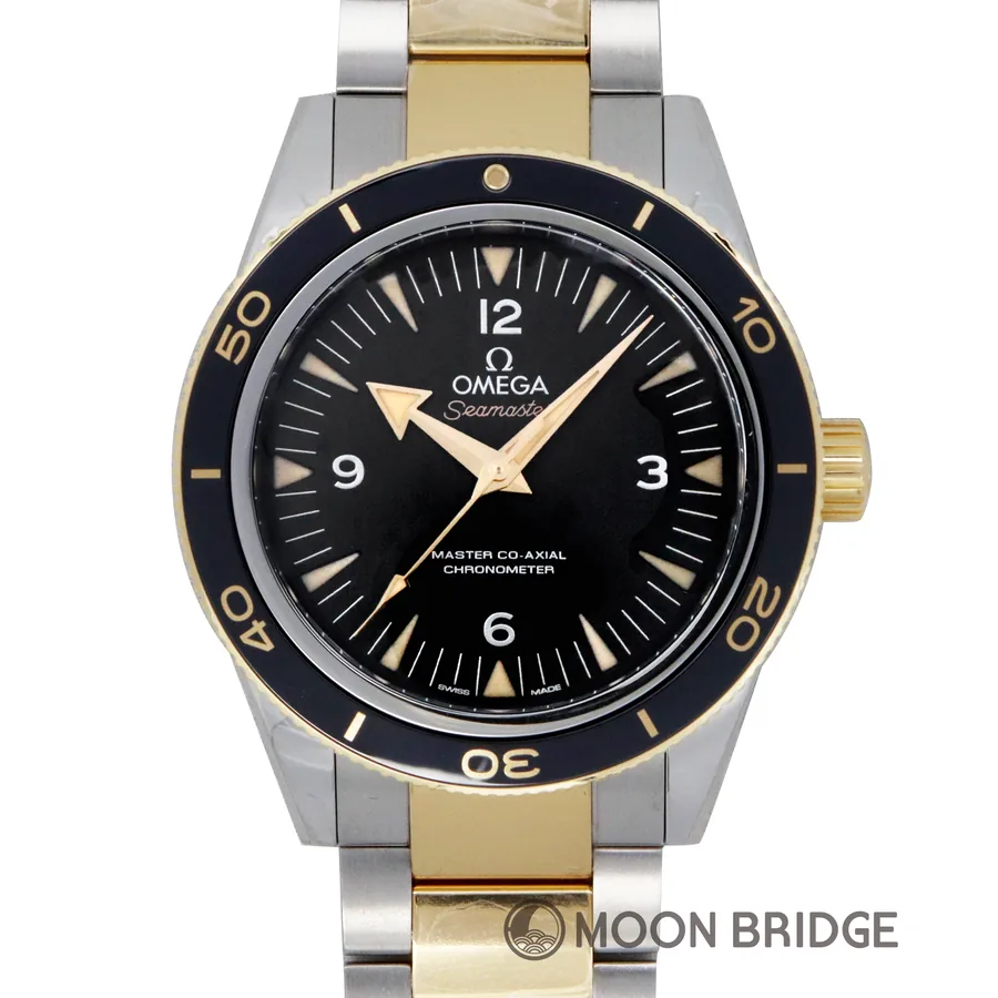 Omega Seamaster 300 233.20.41.21.01.002
