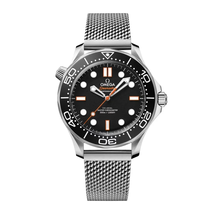 Omega Seamaster Diver 300M 17332409